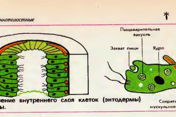 Лучшие наркошопы