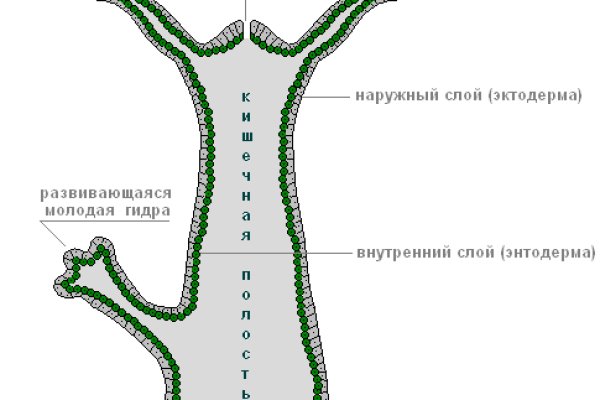 Кракен даркнет в тор